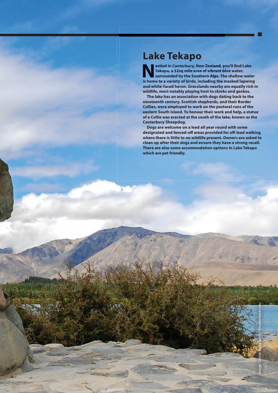 Your Dog Preview Pages