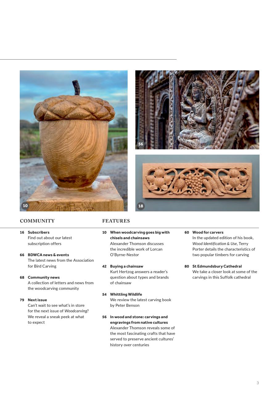 Woodcarving Preview Pages