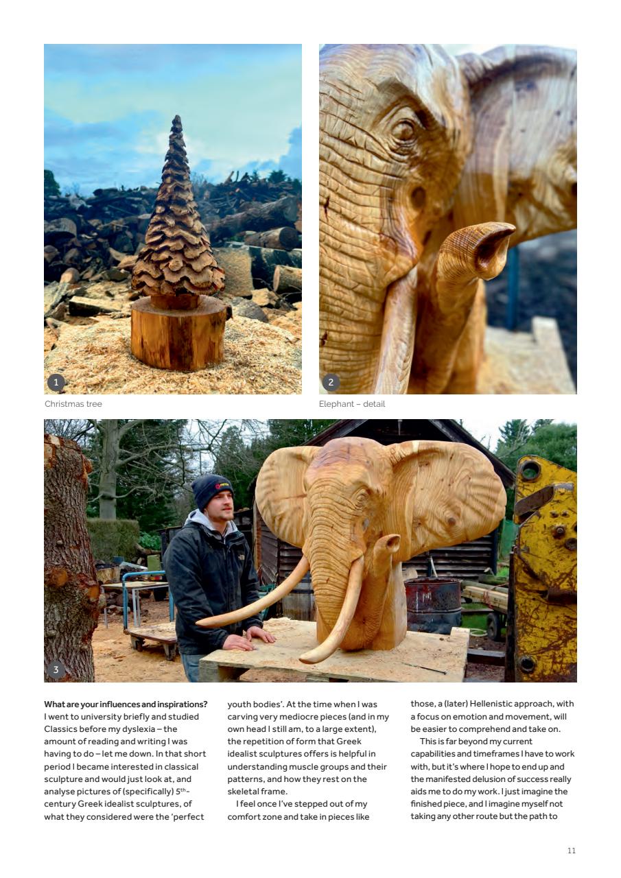 Woodcarving Preview Pages