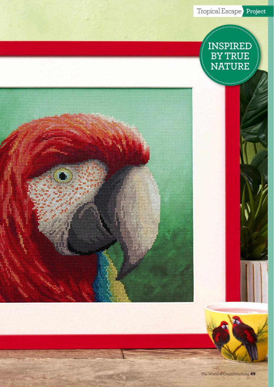 The World of Cross Stitching Preview Pages