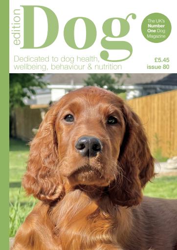 Edition Dog issue 