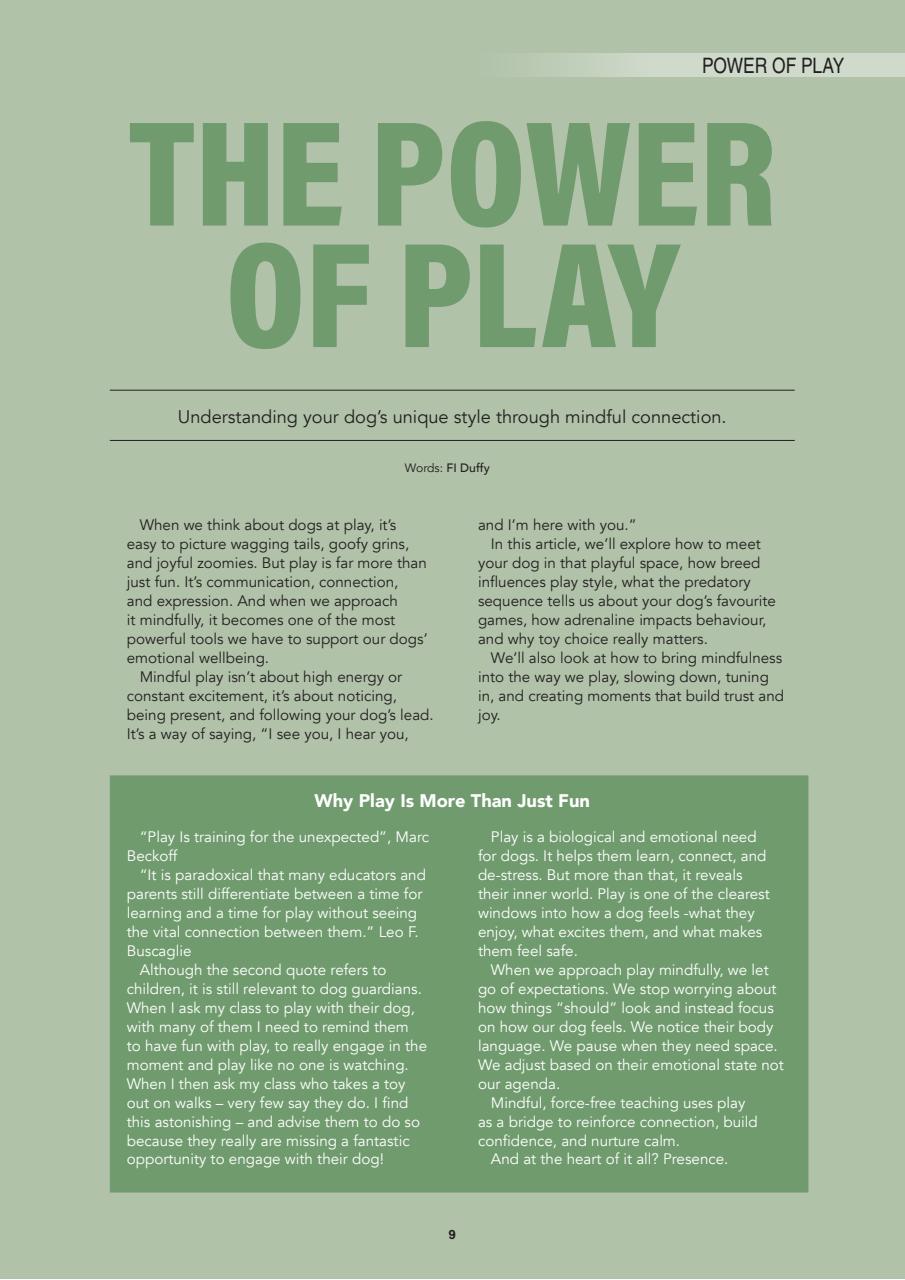 Edition Dog Preview Pages