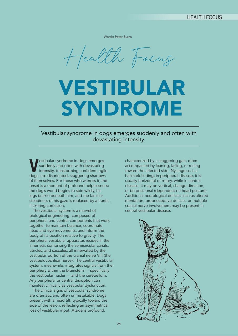 Edition Dog Preview Pages