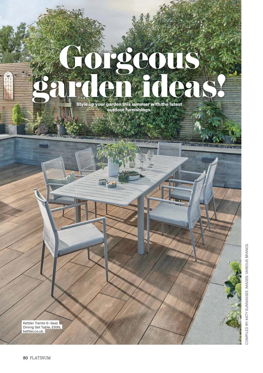 Platinum Preview Pages