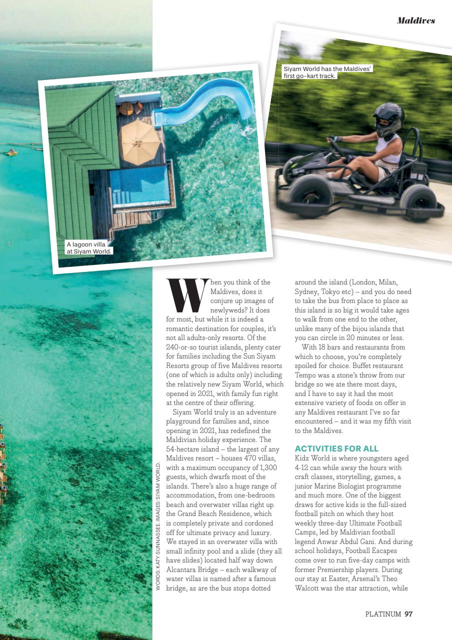 Platinum Preview Pages