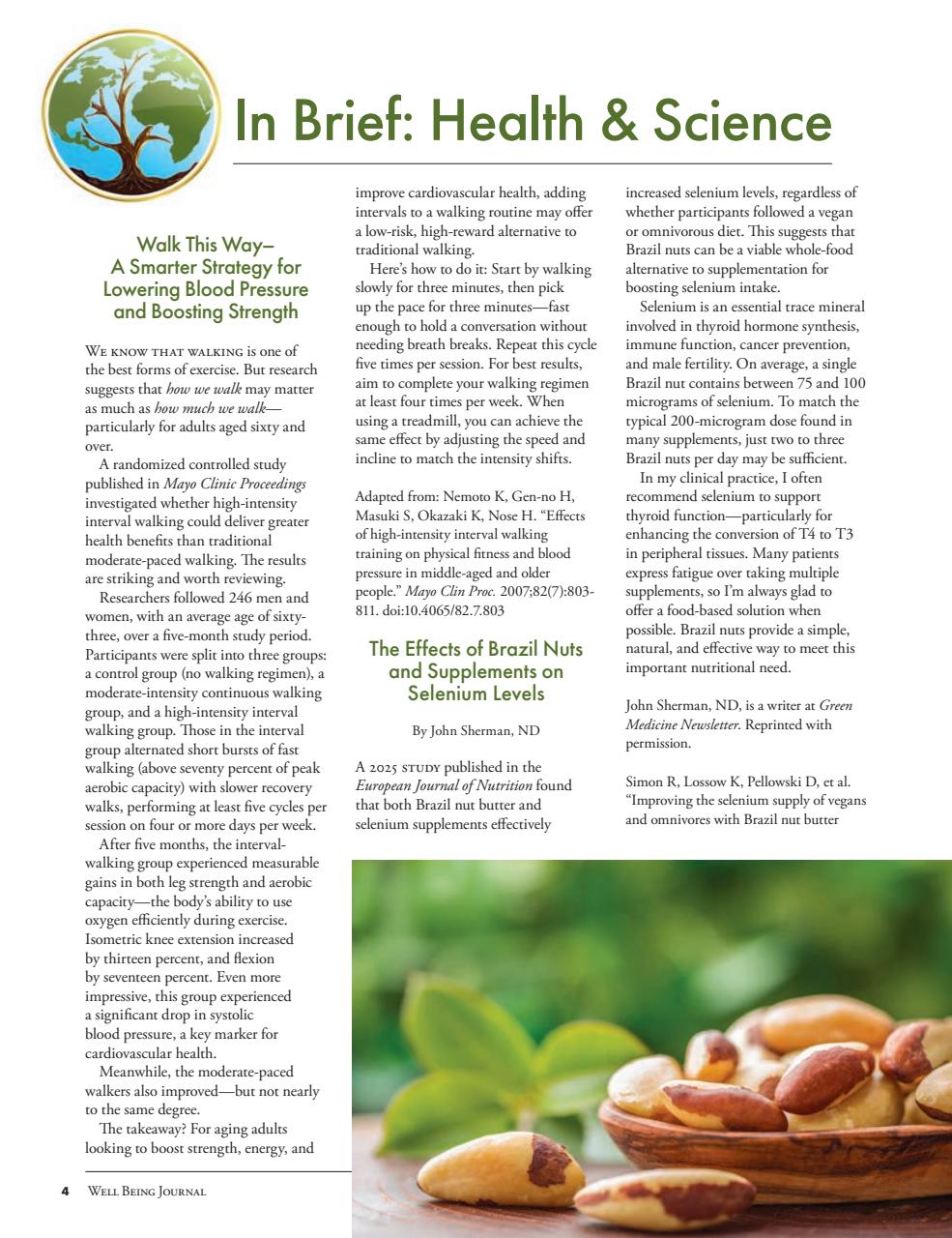 Well Being Journal Preview Pages