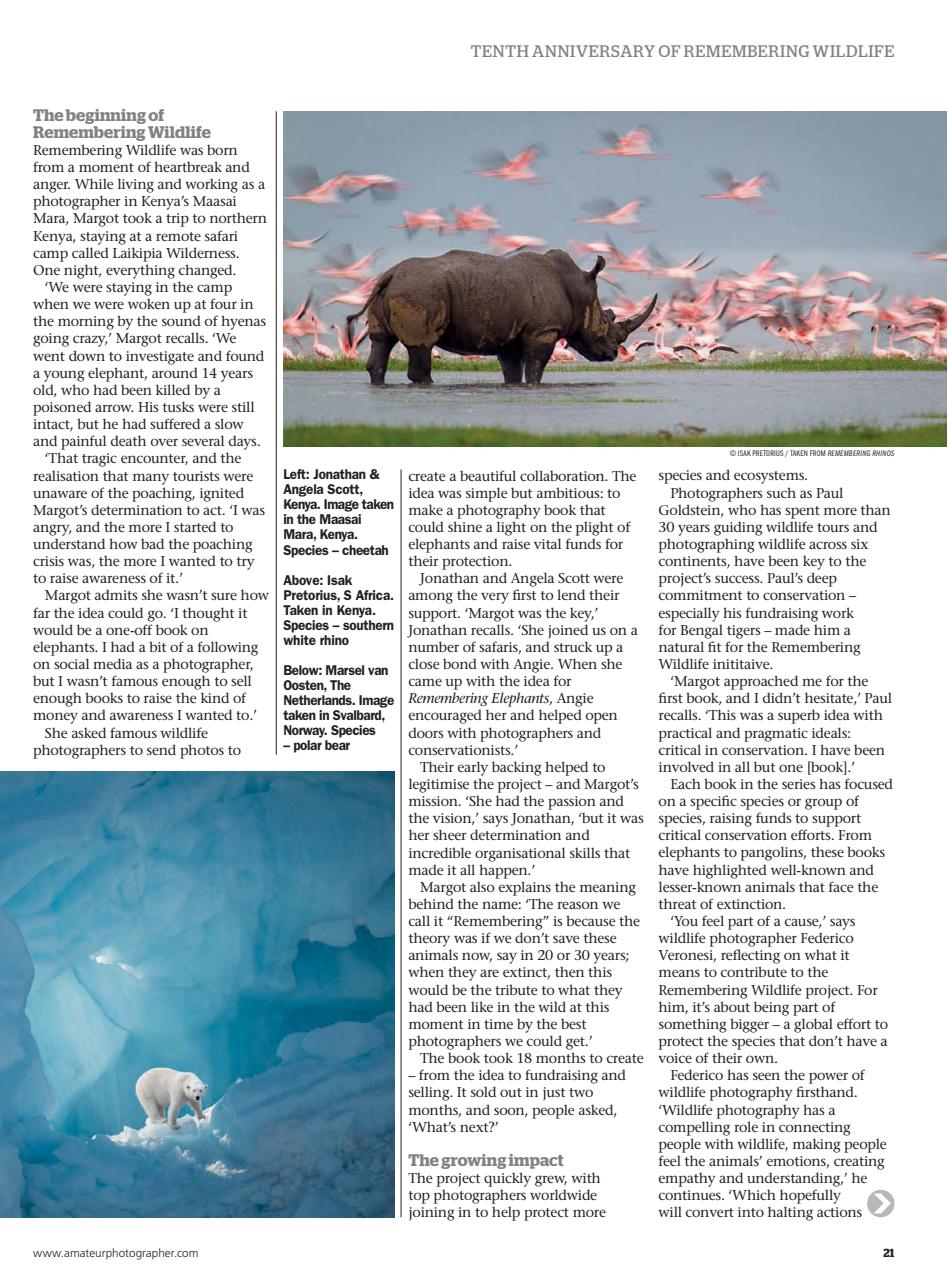 Amateur Photographer Premium Edition Preview Pages