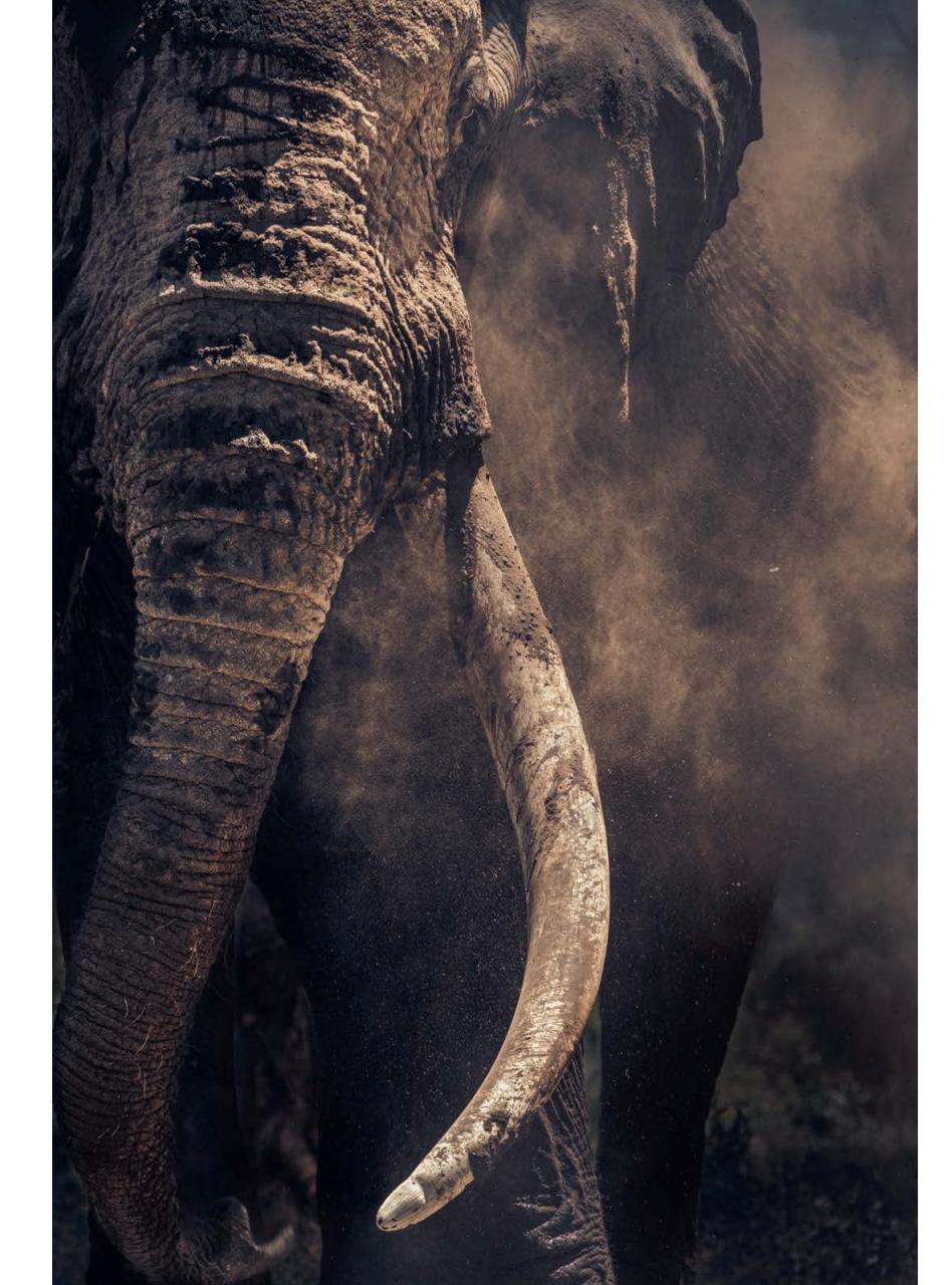 Amateur Photographer Premium Edition Preview Pages