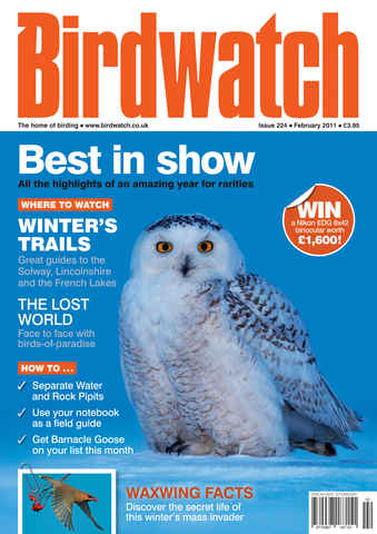 Birdwatch Magazine issue February 2011
