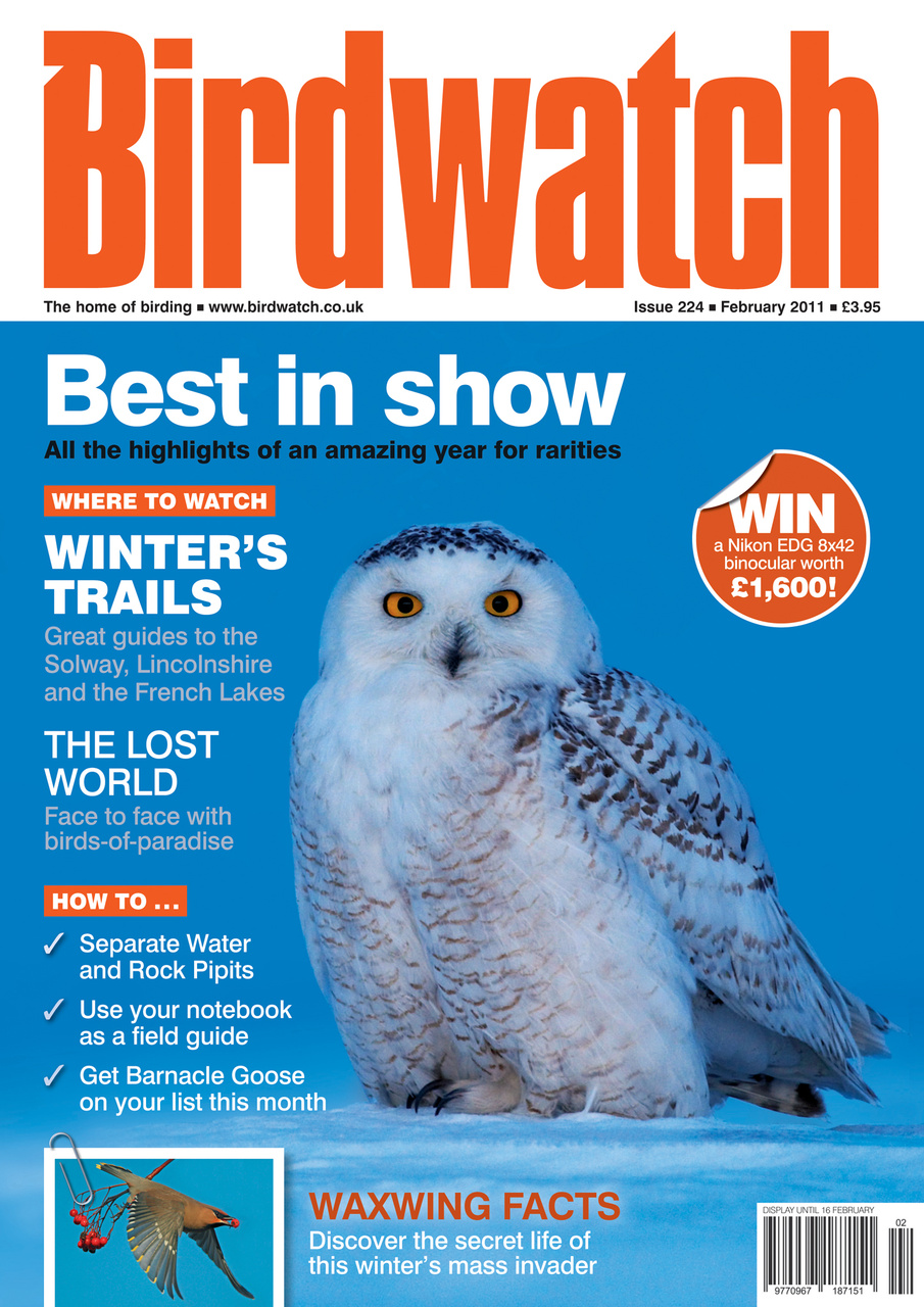 Birdwatch Magazine Preview Pages