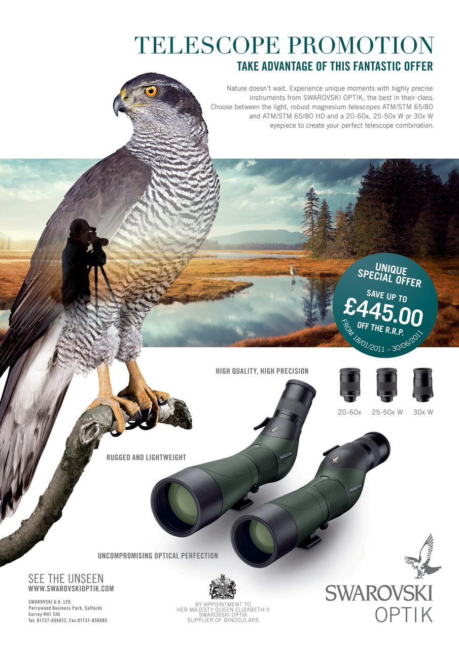 Birdwatch Magazine Preview Pages
