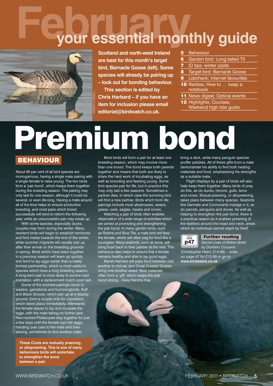 Birdwatch Magazine Preview Pages