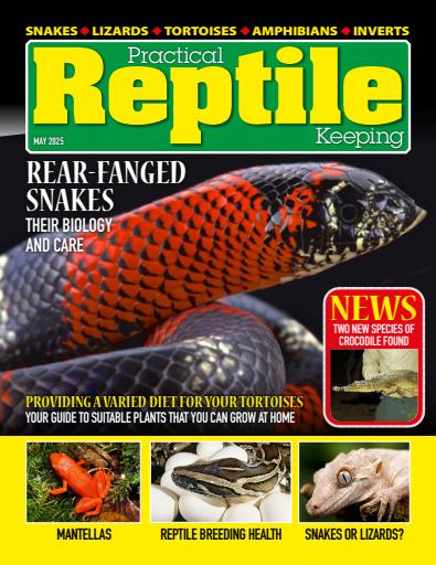 Practical Reptile Keeping issue 