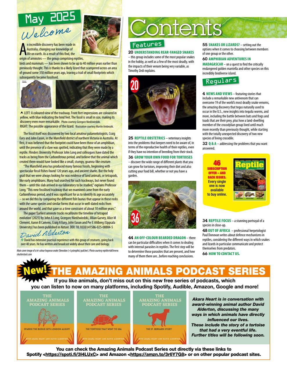 Practical Reptile Keeping Preview Pages