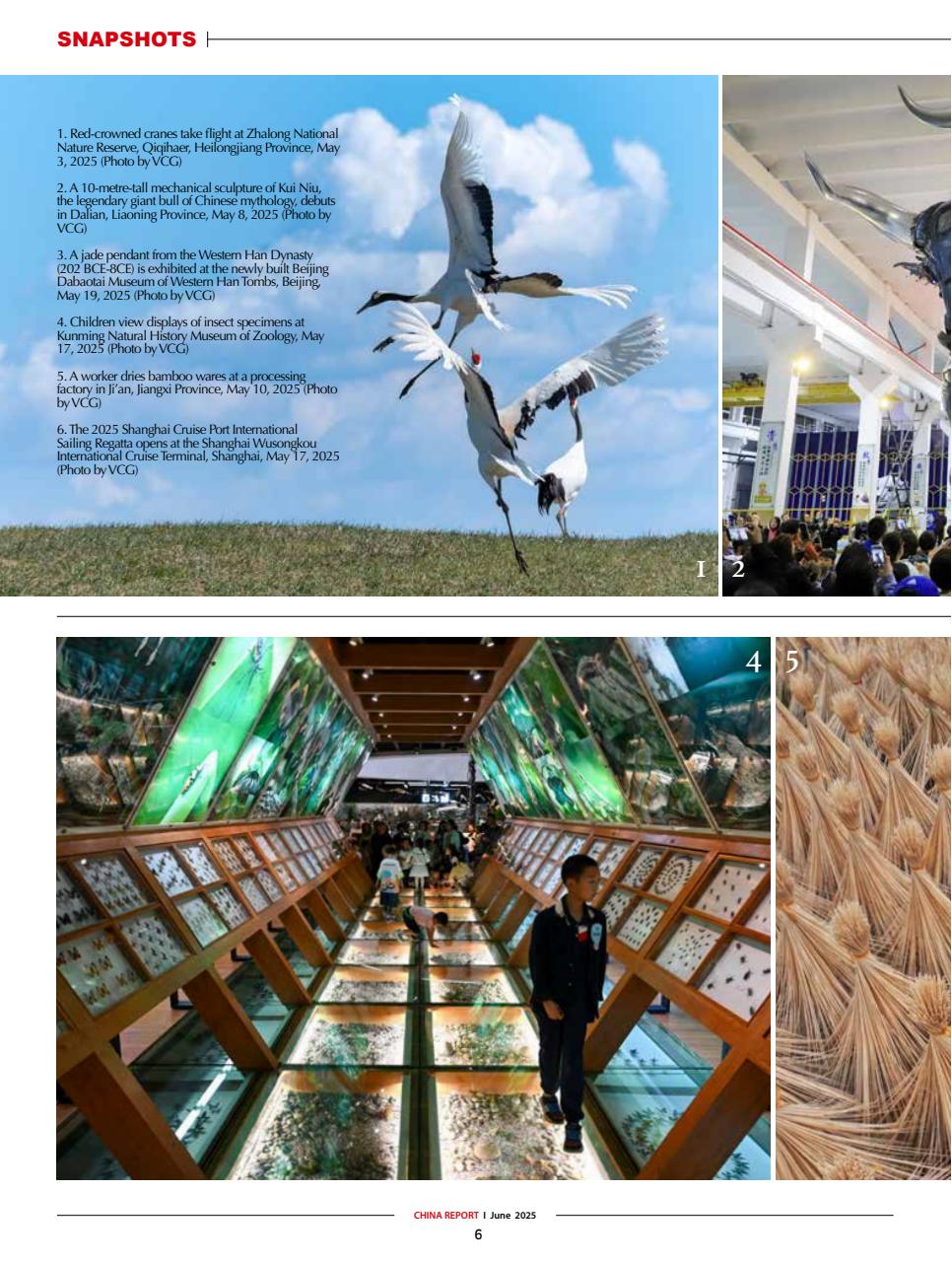 China Report Preview Pages