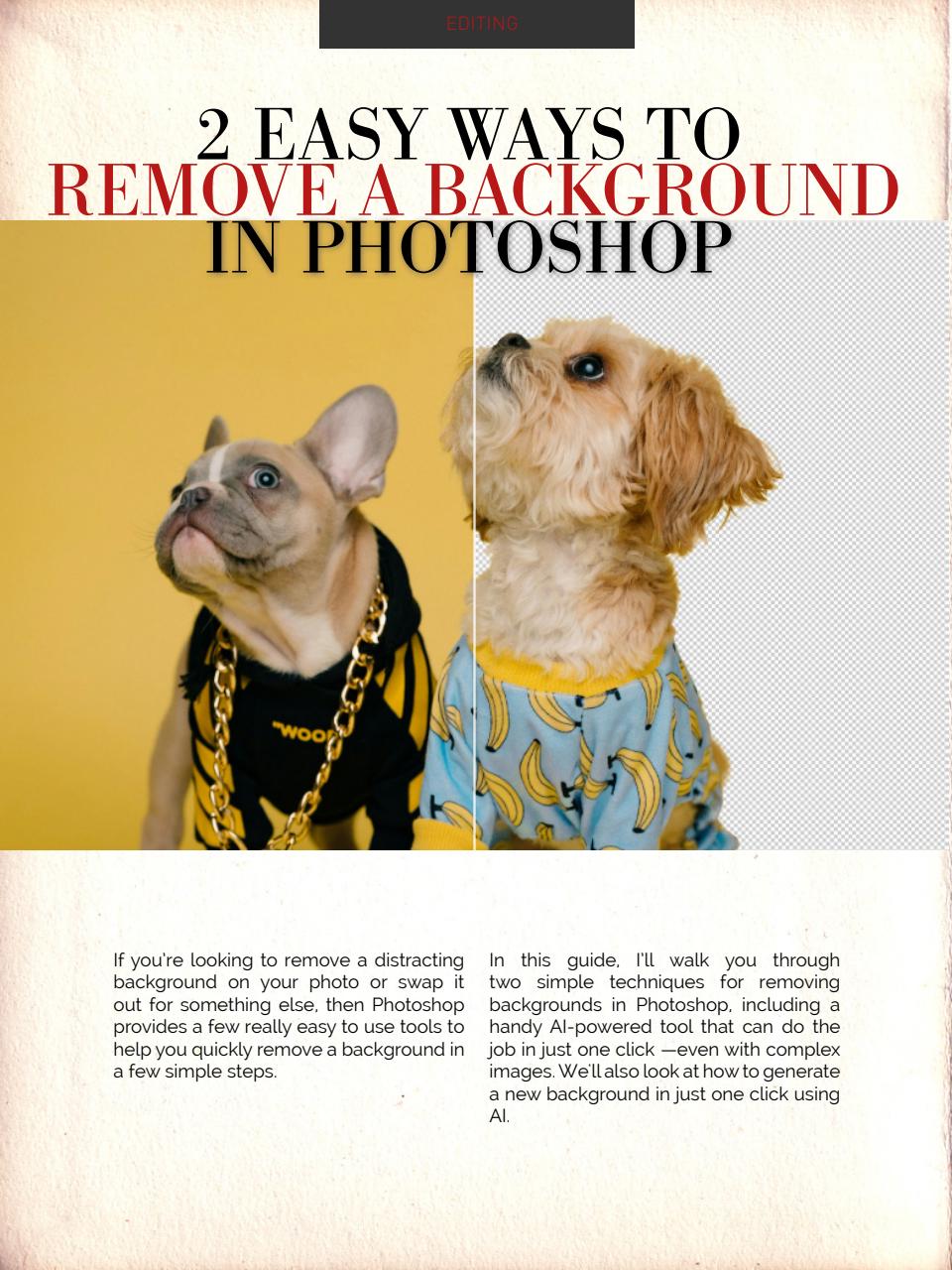 Photography Masterclass Magazine Preview Pages