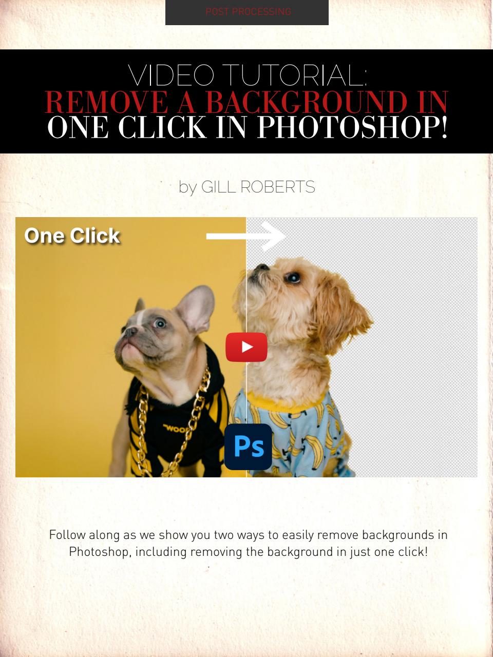 Photography Masterclass Magazine Preview Pages