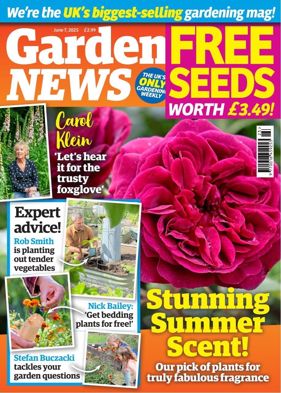 Garden News Preview Pages