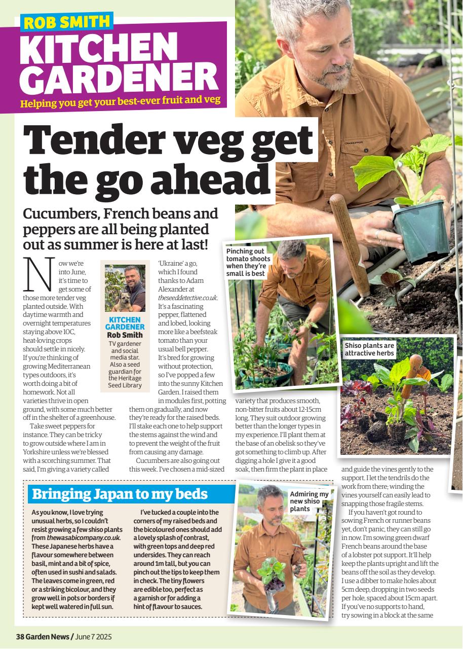 Garden News Preview Pages