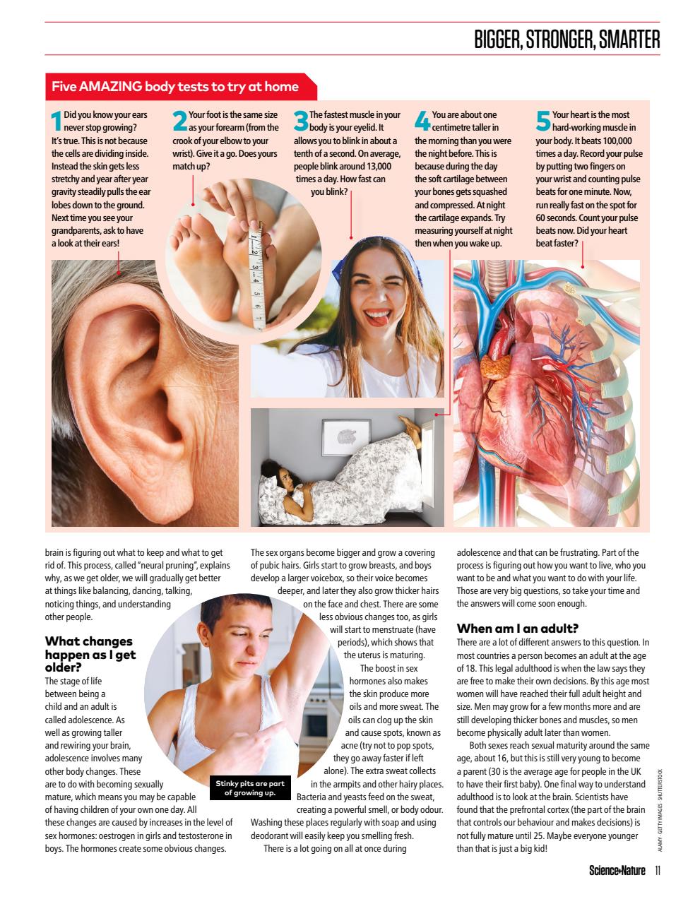 The Week Junior Bookazine Preview Pages