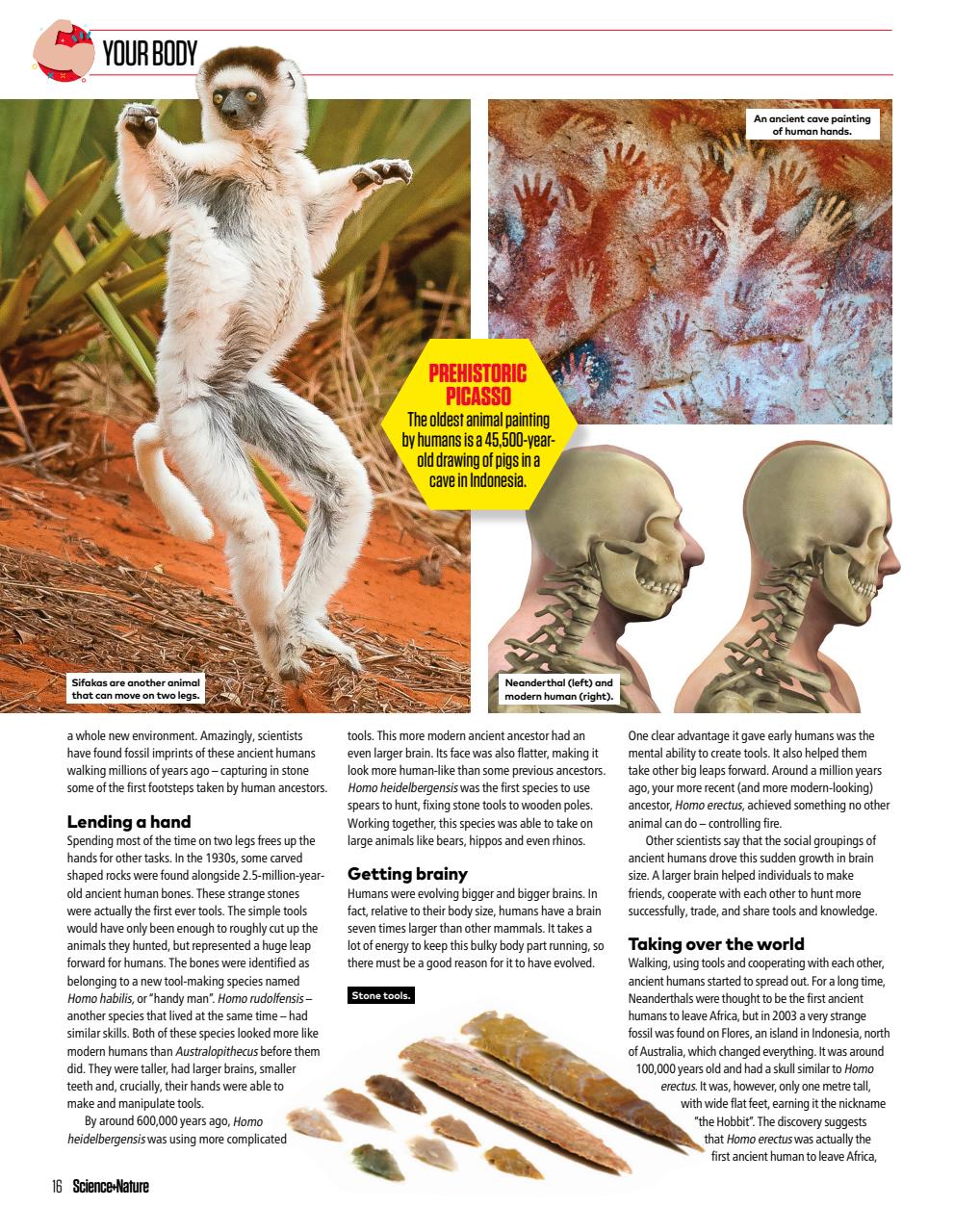 The Week Junior Bookazine Preview Pages