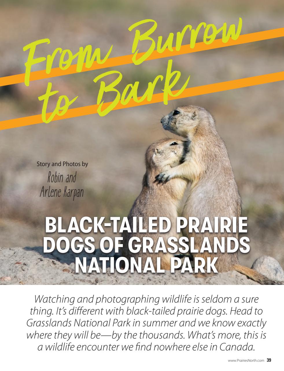 Prairies North Magazine Preview Pages