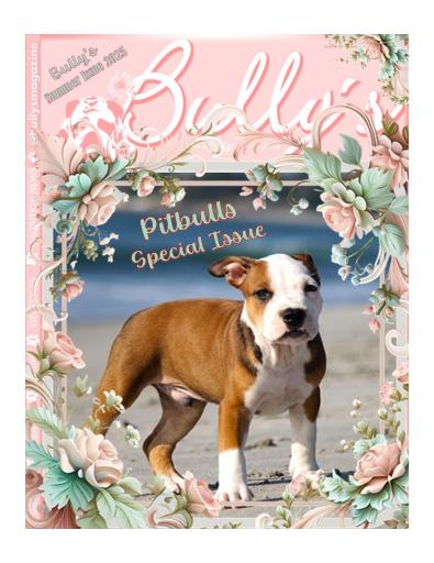 Bully’s - The Bulldog Magazine issue 