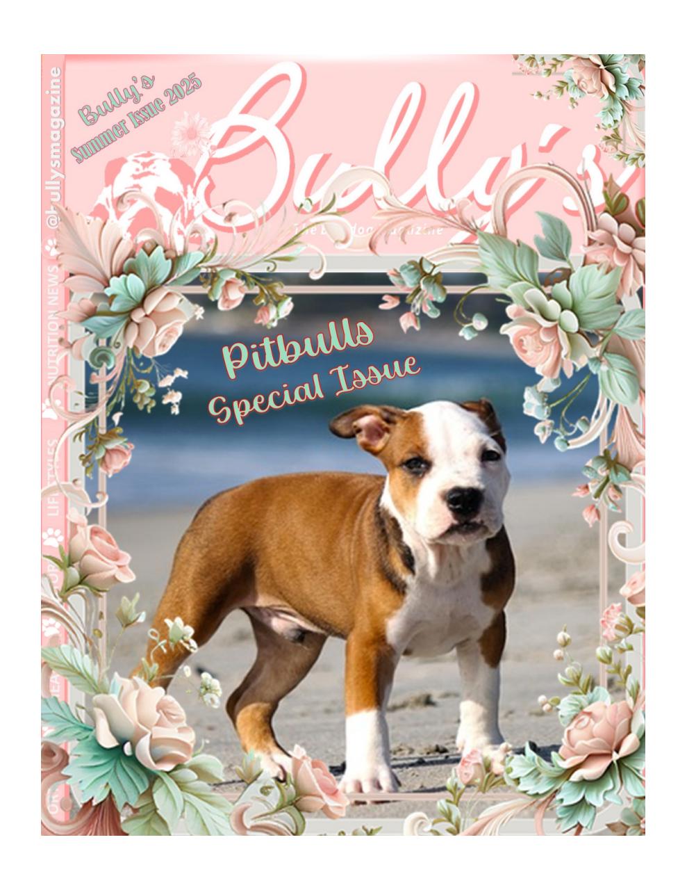 Bully’s - The Bulldog Magazine Preview Pages
