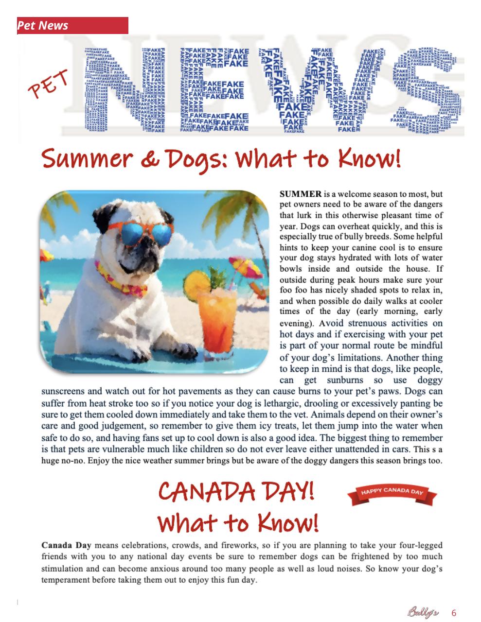 Bully’s - The Bulldog Magazine Preview Pages