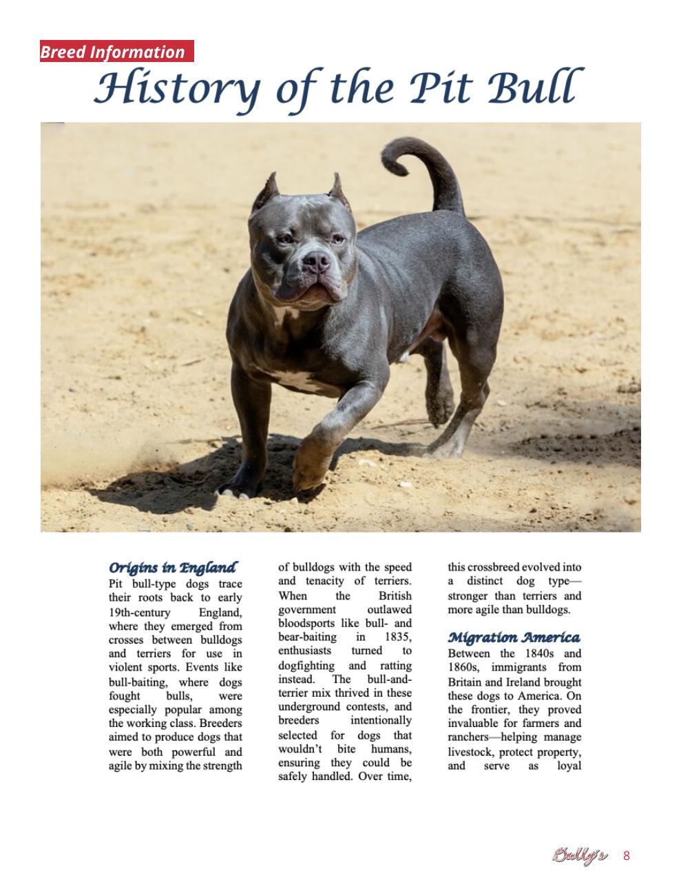 Bully’s - The Bulldog Magazine Preview Pages