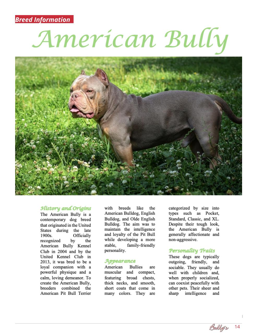 Bully’s - The Bulldog Magazine Preview Pages