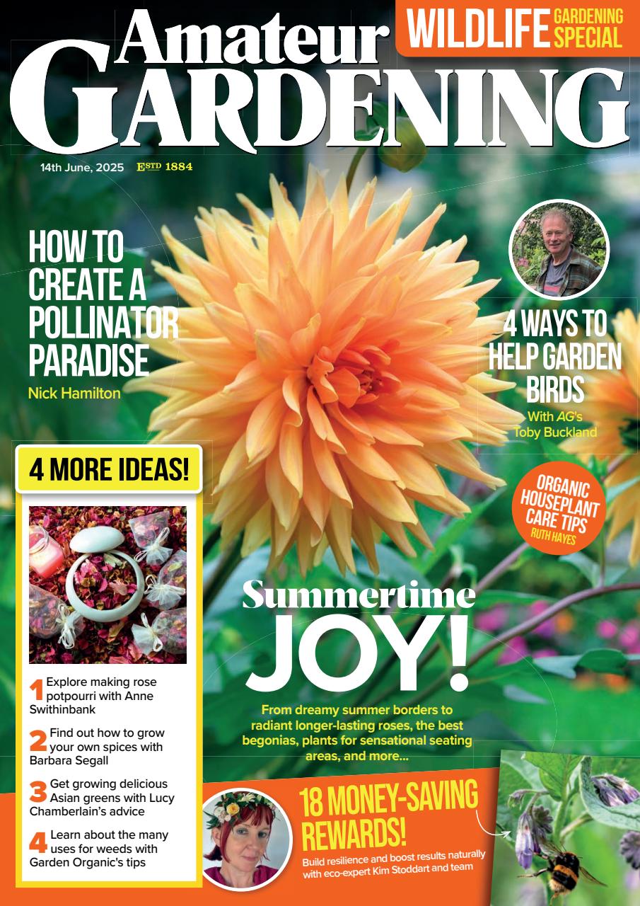Amateur Gardening Preview Pages