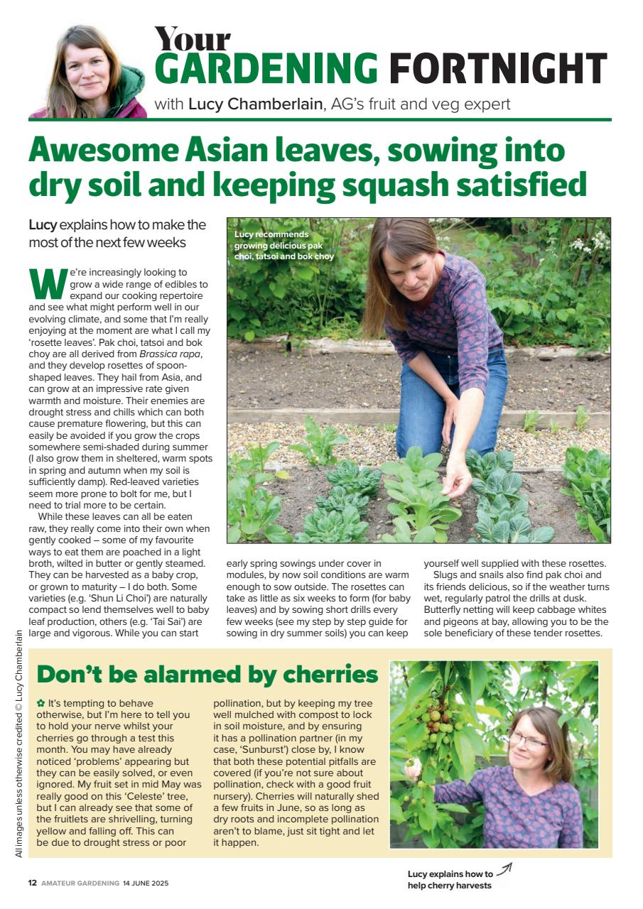 Amateur Gardening Preview Pages