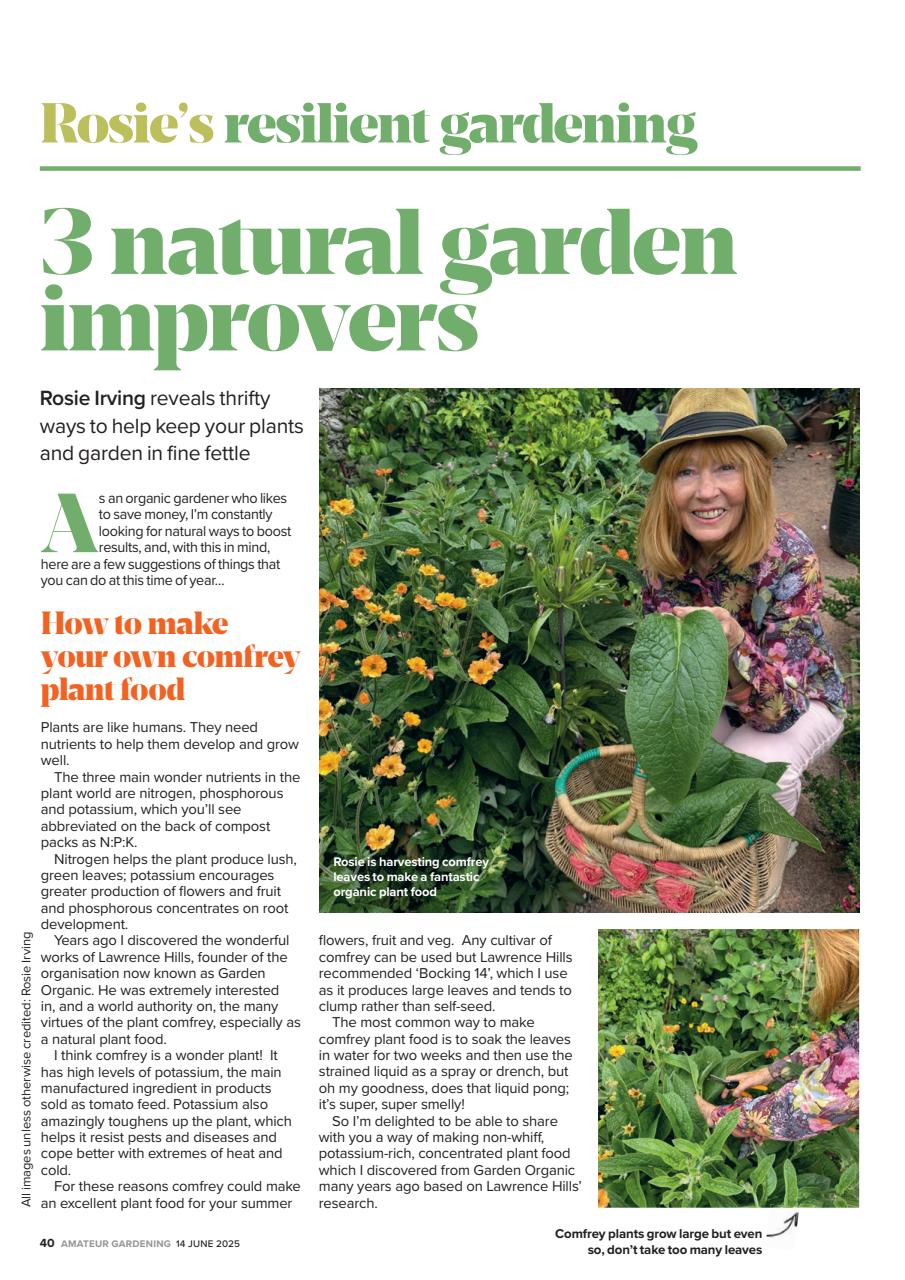 Amateur Gardening Preview Pages