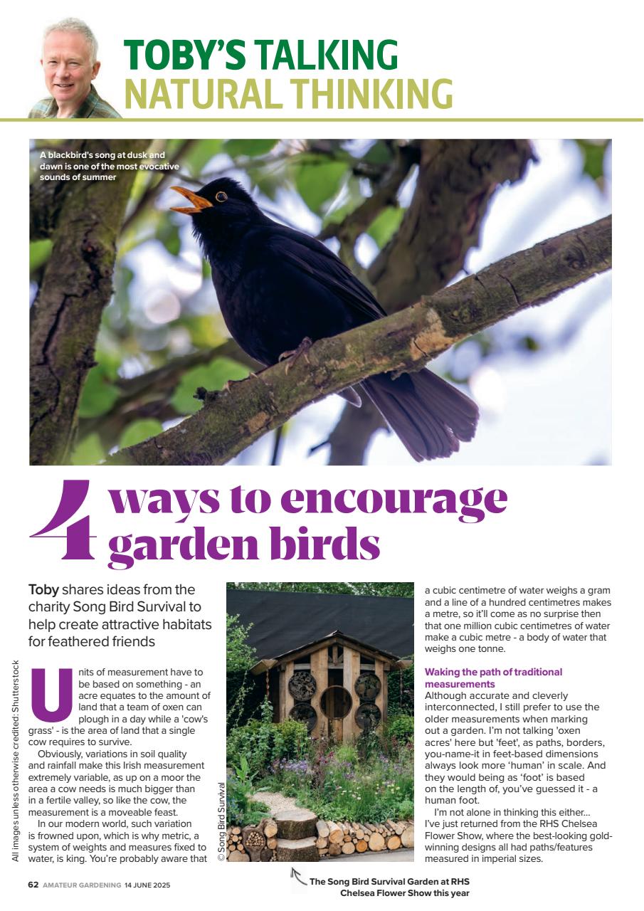 Amateur Gardening Preview Pages