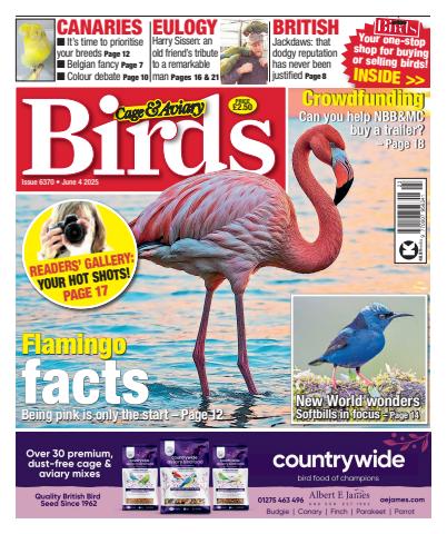 4th June 2025 issue 4th June 2025