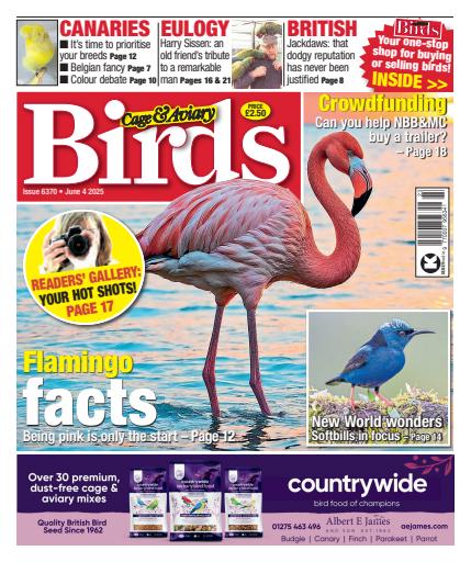 Cage & Aviary Birds issue 