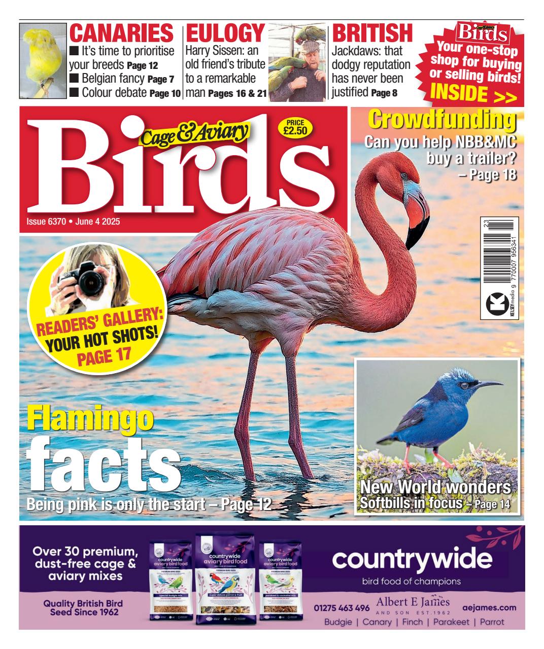 Cage & Aviary Birds Preview Pages