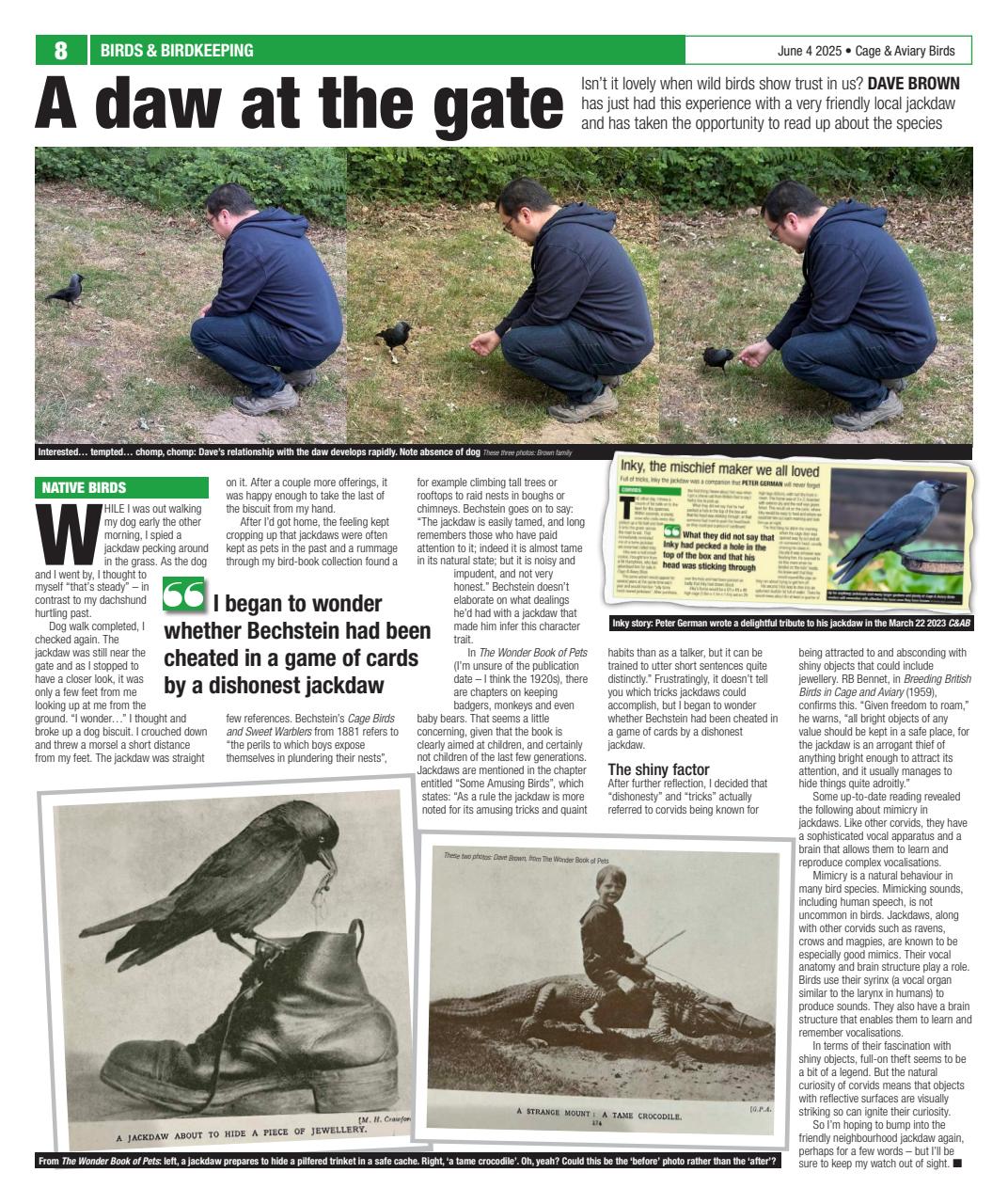 Cage & Aviary Birds Preview Pages