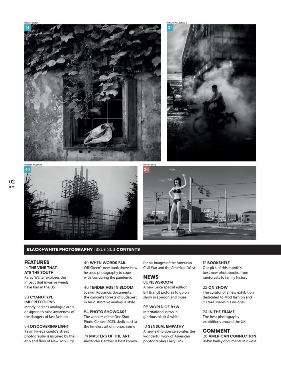 Black+White Photography Preview Pages