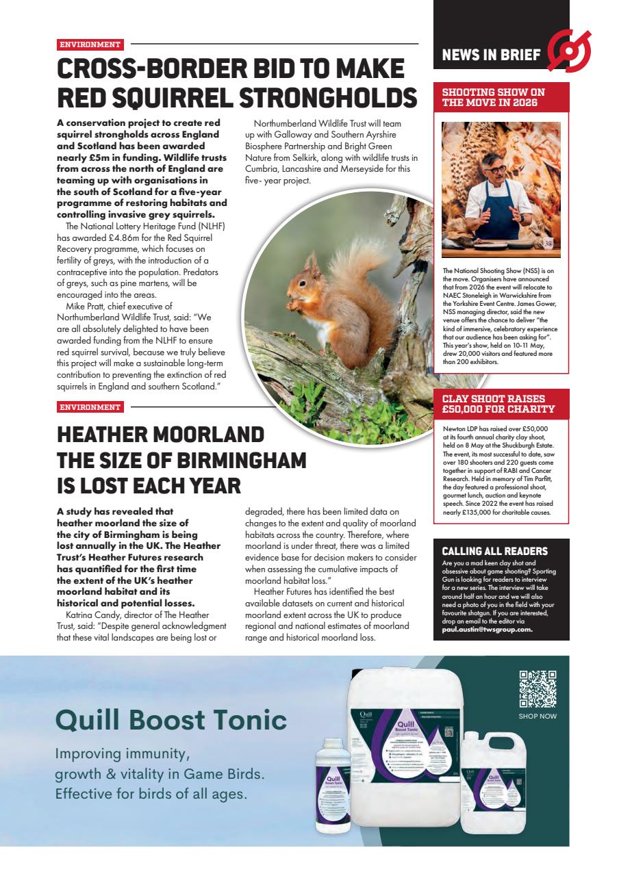 Sporting Gun Preview Pages