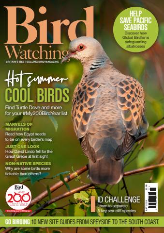 Bird Watching issue Jul-25
