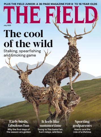 The Field issue July 2025