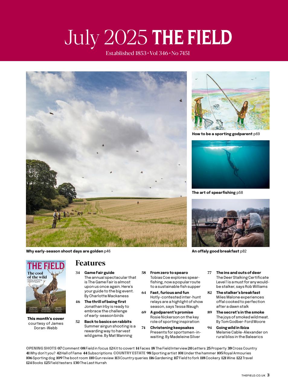 The Field Preview Pages