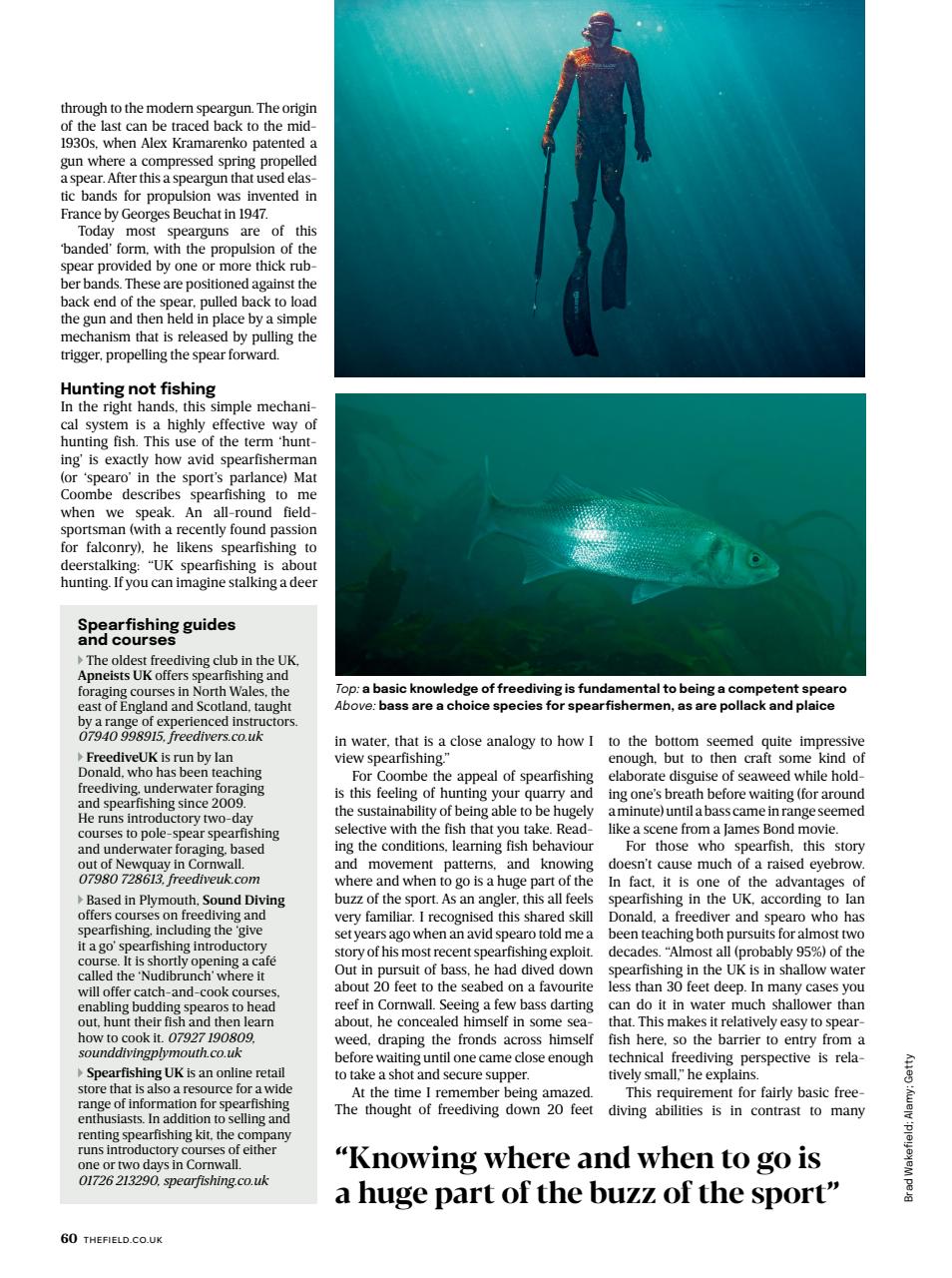 The Field Preview Pages