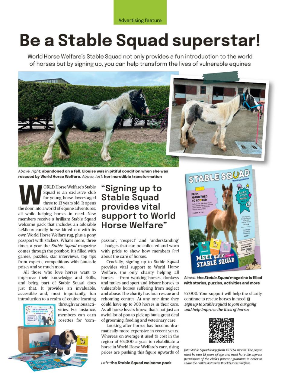 The Field Preview Pages