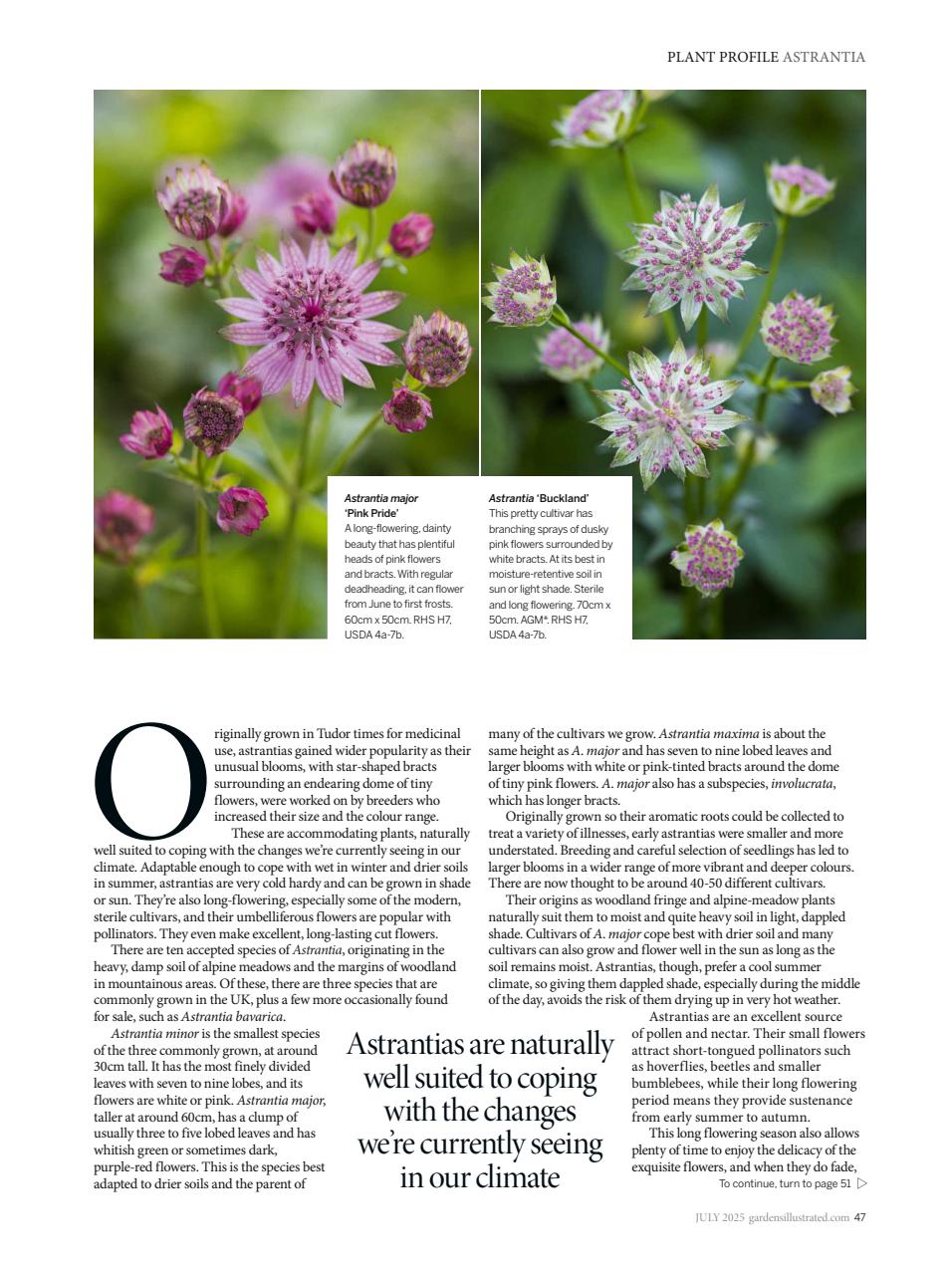 Gardens Illustrated Preview Pages