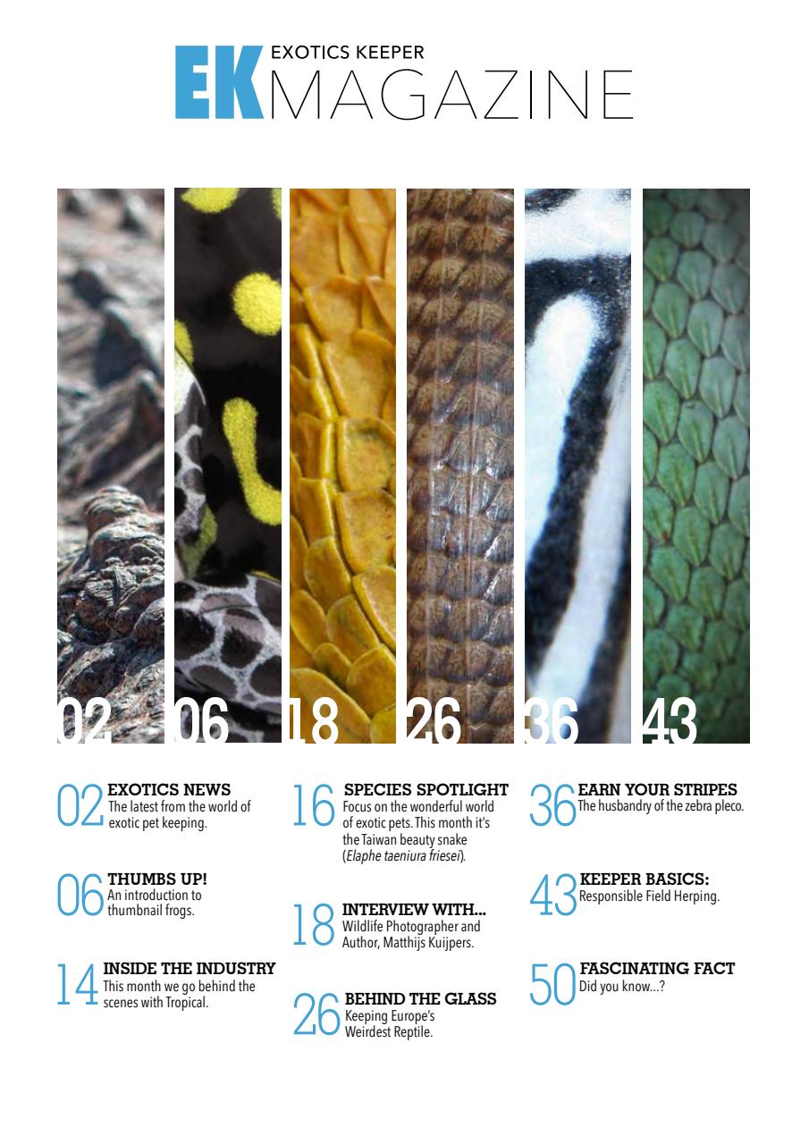 Exotics Keeper Preview Pages