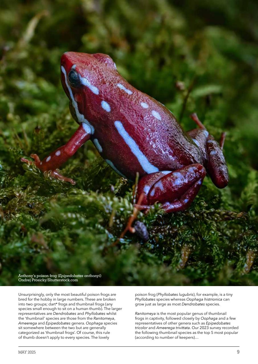 Exotics Keeper Preview Pages