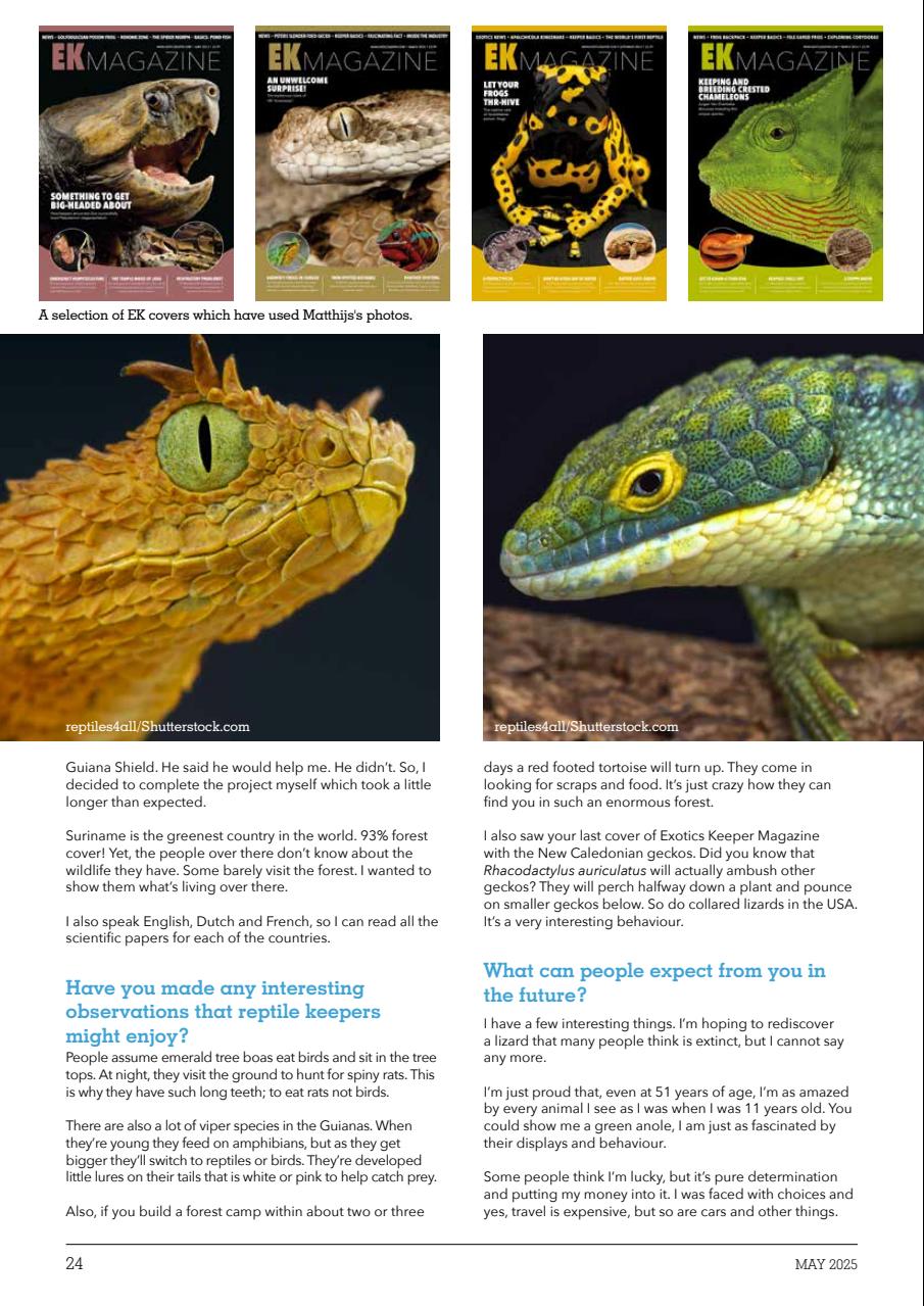 Exotics Keeper Preview Pages